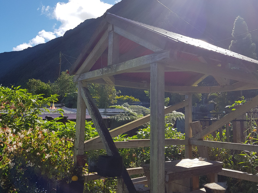 P'ti Blanc des O主图