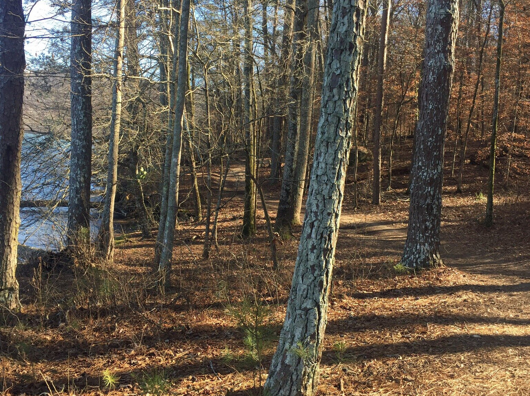 Buck's Pocket State Park景点图片