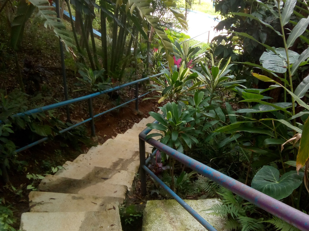 Parque Catarina Scarparo D'Agostini-Sao Caetano do Sul必去景点