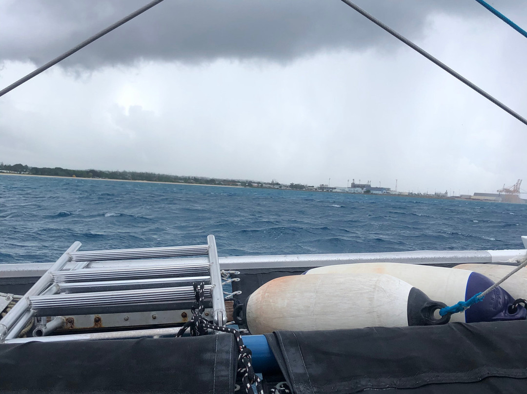 Small Cats Catamaran Sailing Cruises-布里奇顿必去景点