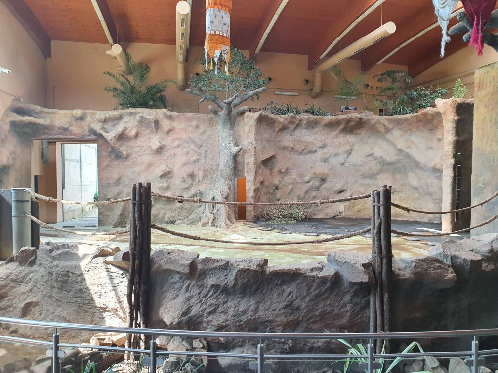 Usti Nad Labem Zoo-拉贝河畔乌斯季必去景点