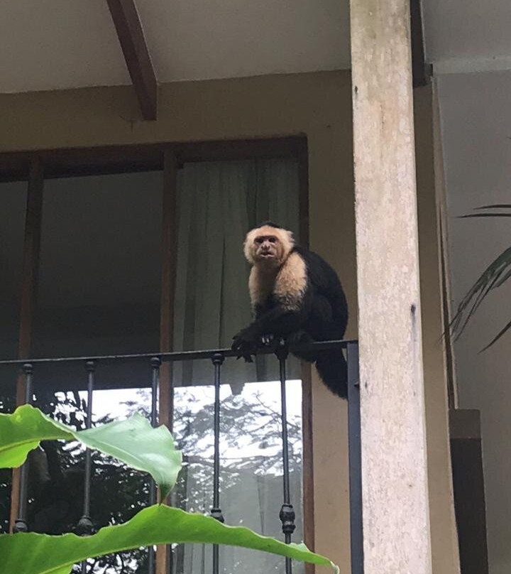 DoceLunas Hotel, Restaurant & Spa主图