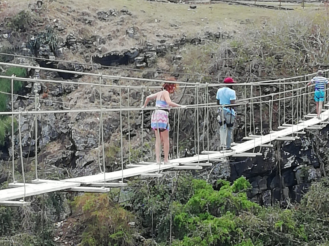 Suspension Bridge-罗德里格斯岛必去景点