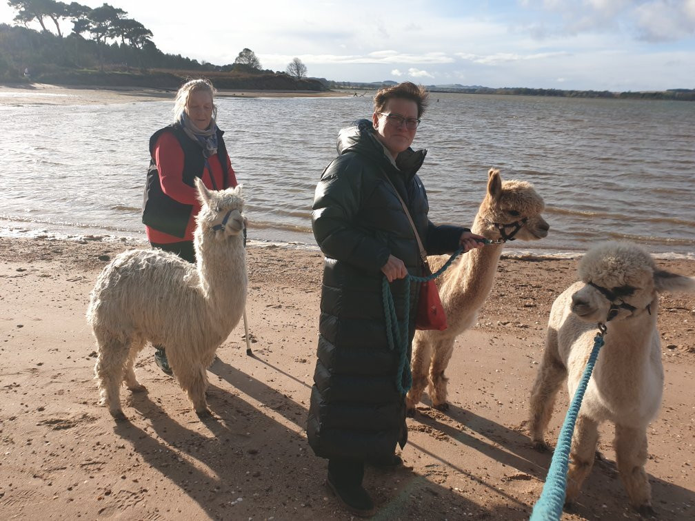 John Muir Alpacas景点图片