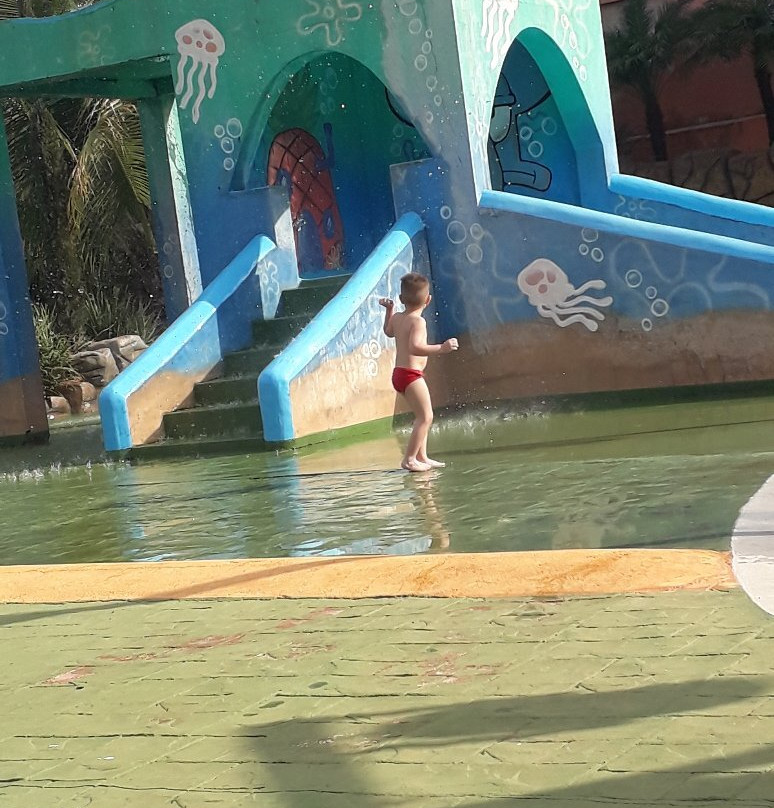 Parque Águas de Olimpia景点图片