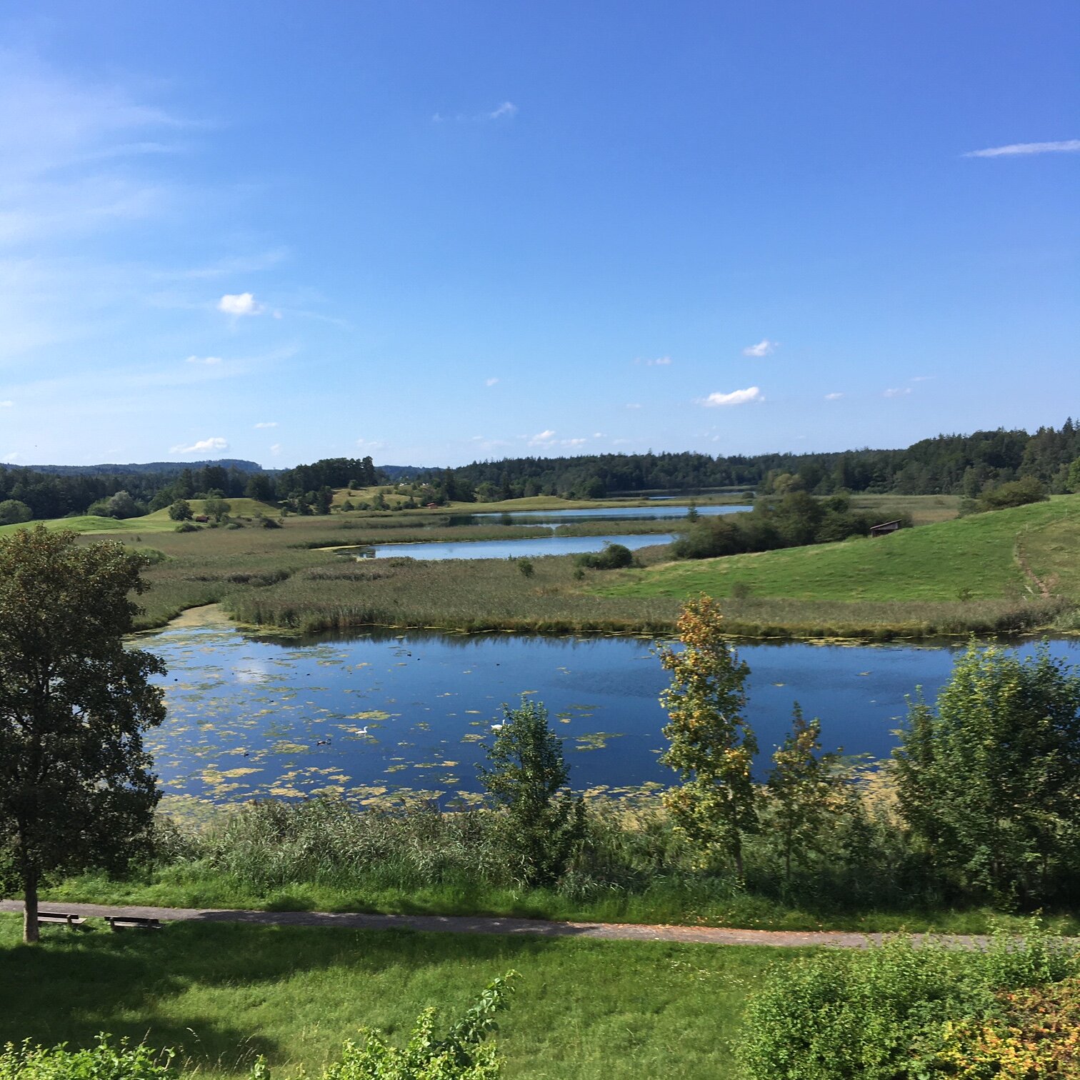 Landgasthof Osterseen-酒店景观