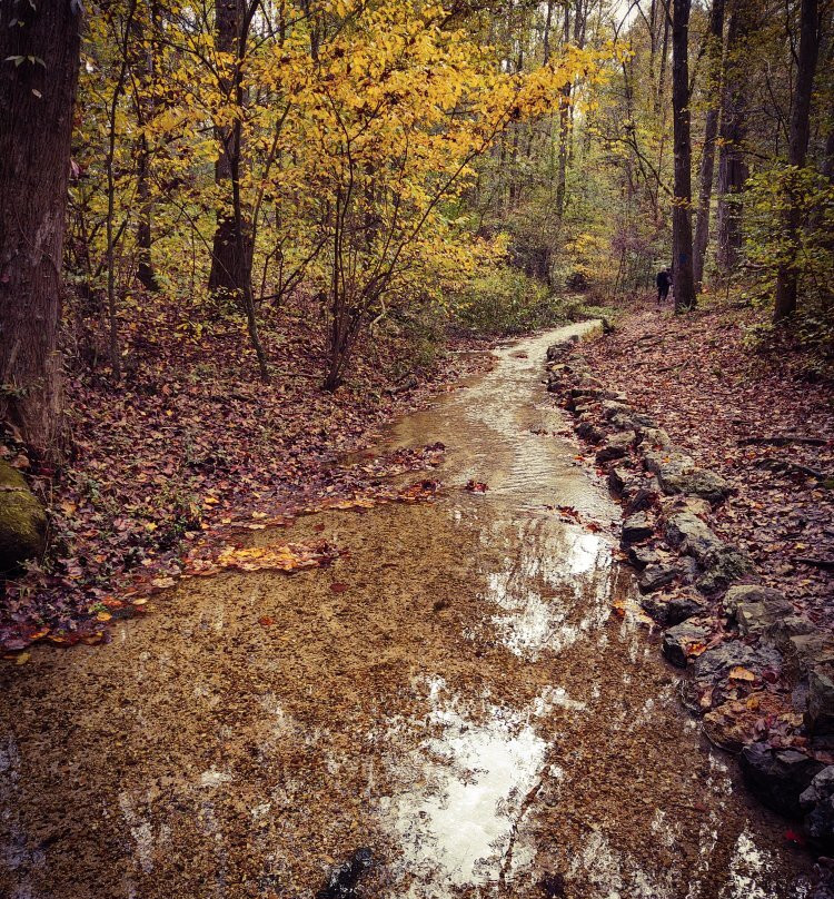 Red Clay State Historic Park景点图片