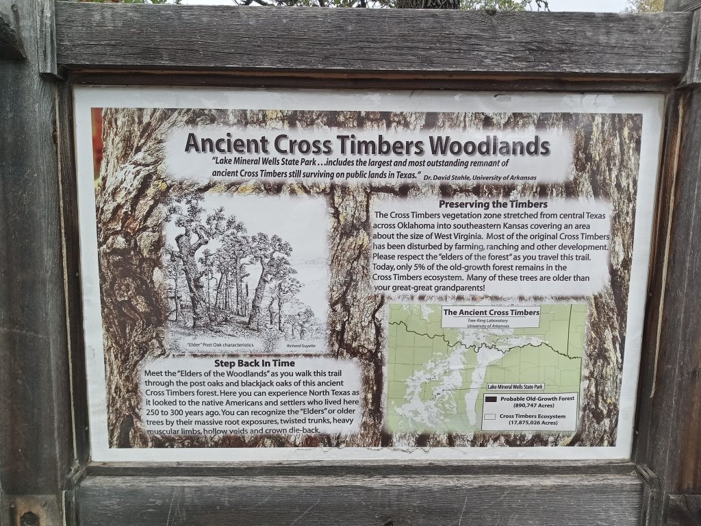 Lake Mineral Wells State Park-矿泉井城必去景点