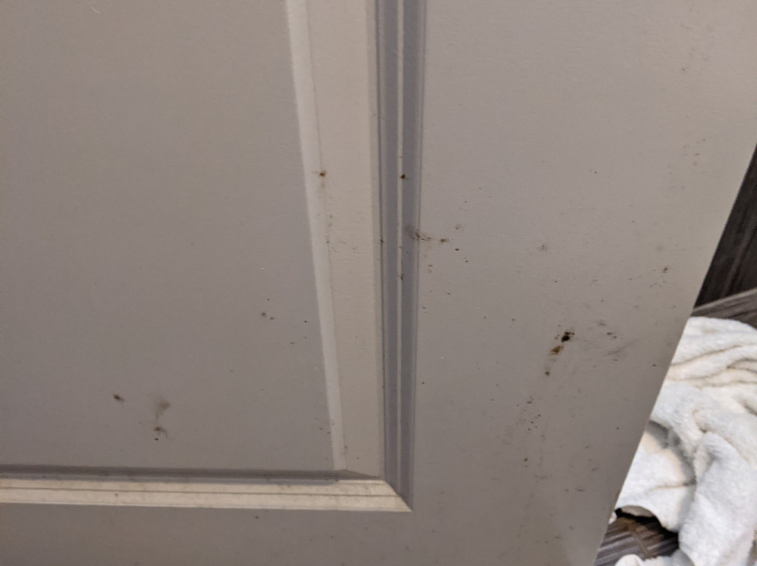 Days Inn Hernando主图