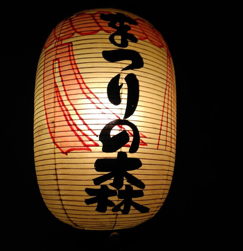 Hida Takayama Art and Festa Forest-高山市必去景点