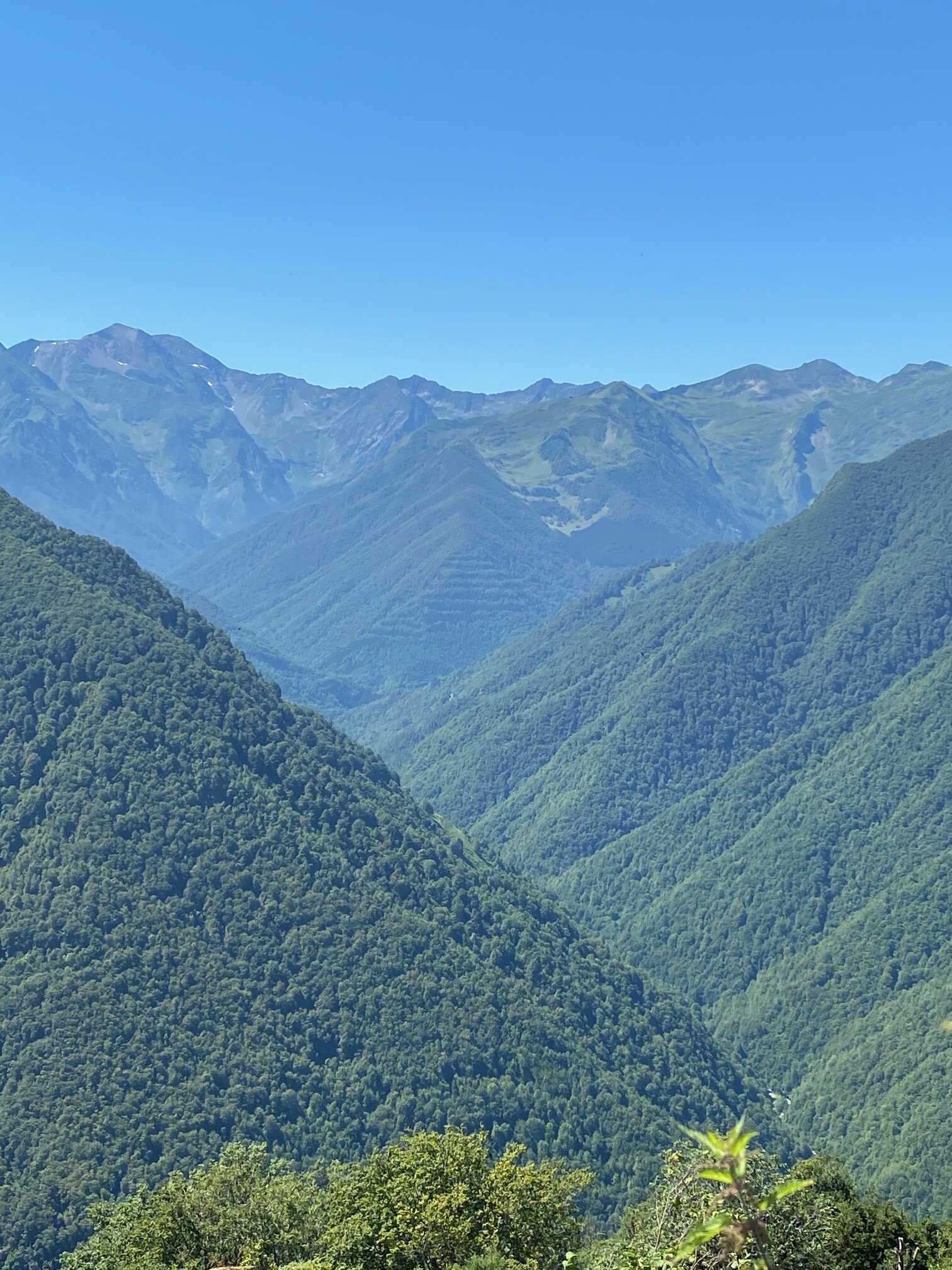 Auberge les Myrtilles-官方