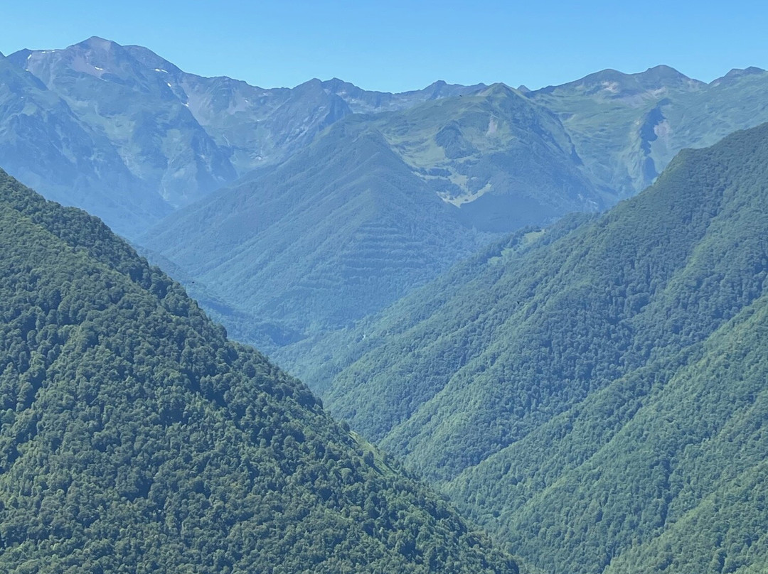 Auberge les Myrtilles主图