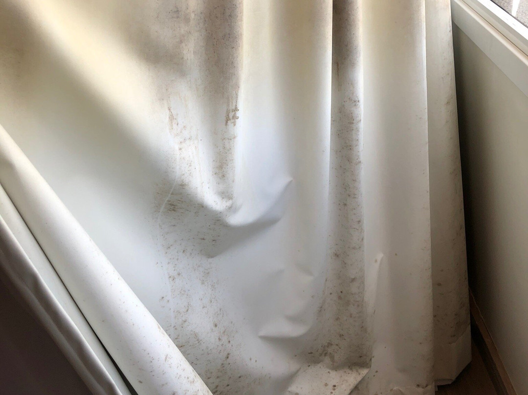 Partner Hotel Caxias do Sul主图