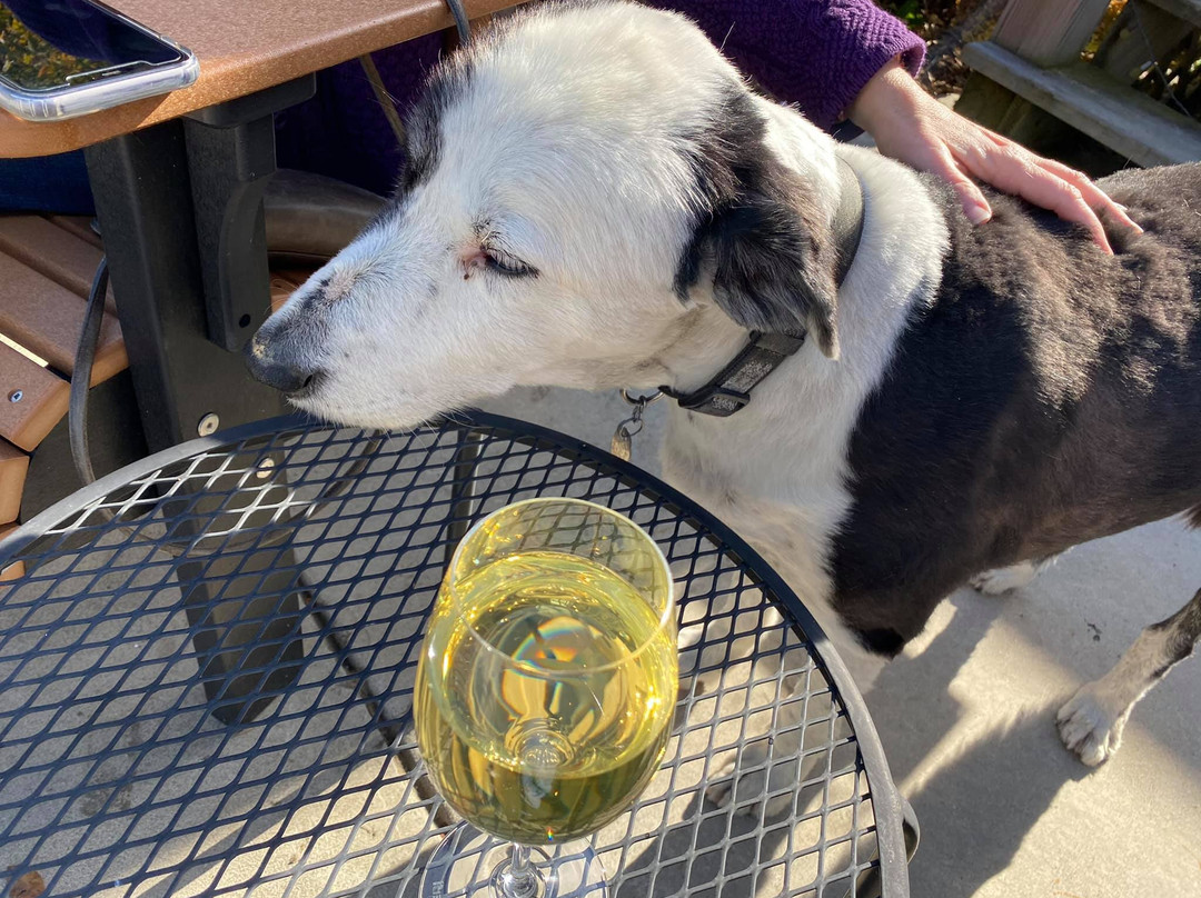 Marceline Vineyards-Mount Crawford必去景点