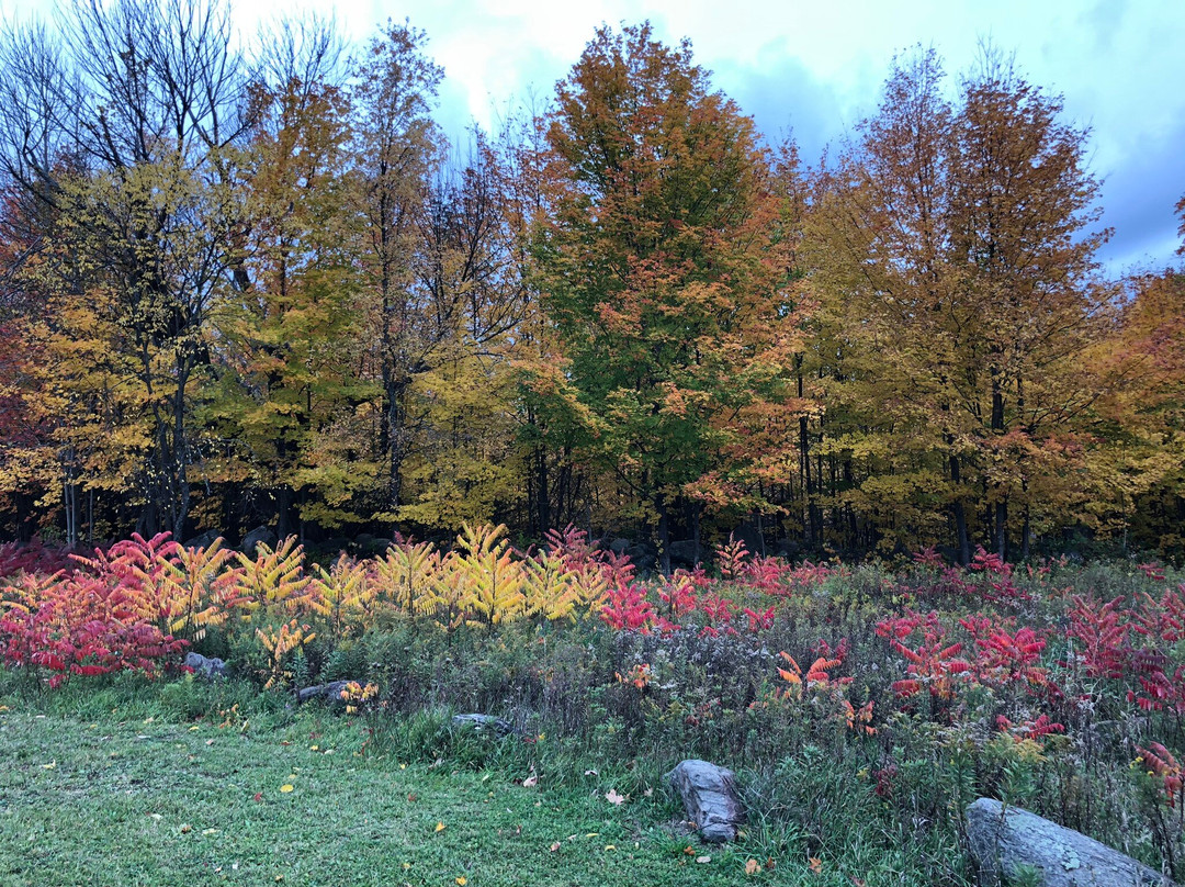 Sugar Ridge Retreat Centre主图