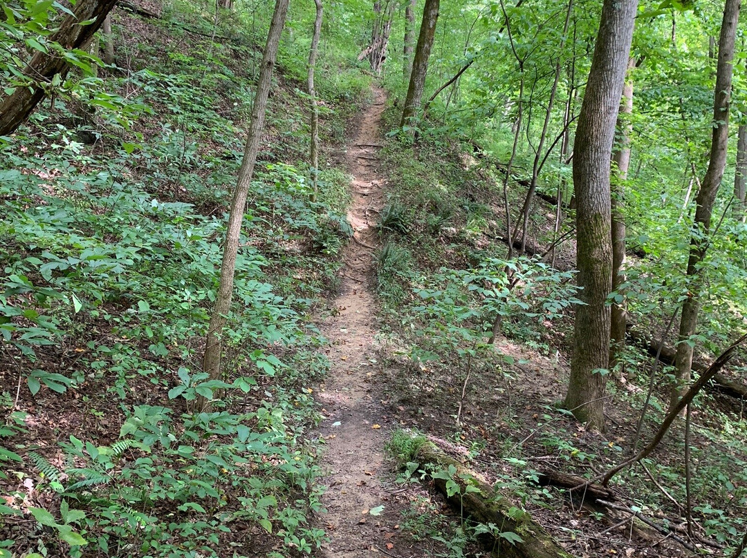 Pulliam Creek Trailhead景点图片