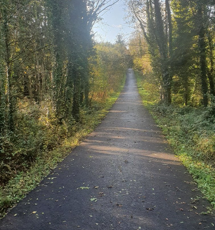 Killykeen Forest Park-County Cavan必去景点
