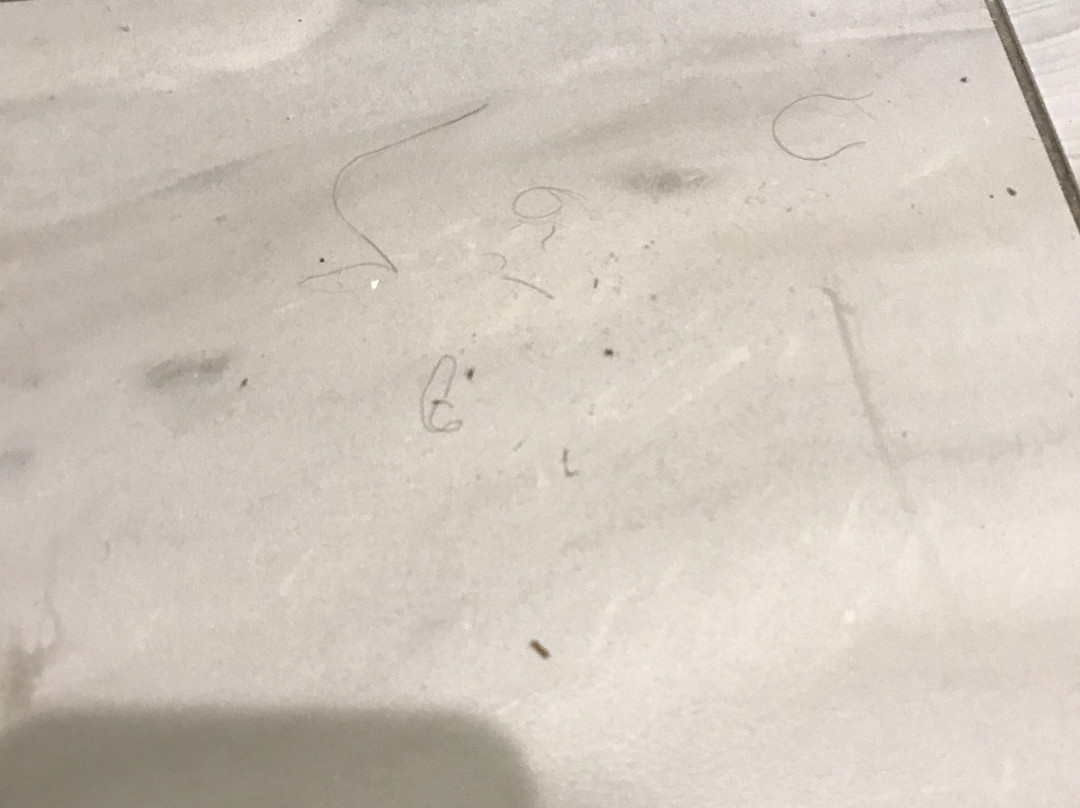 DoubleTree by Hilton Hotel Winston Salem - University主图