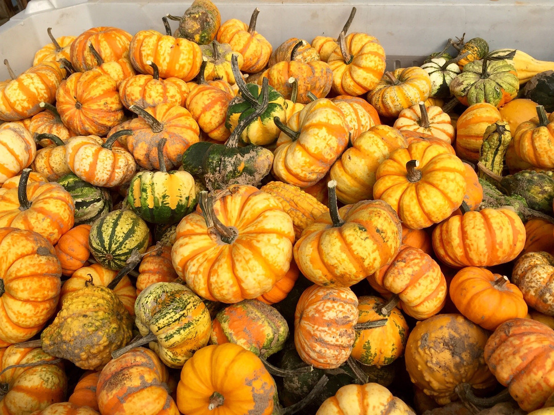 Waldoch Farm-Lino Lakes必去景点