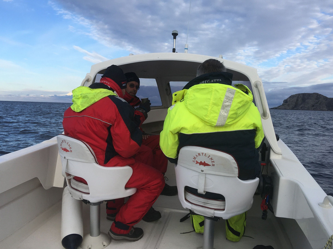 Båtsfjord Brygge景点图片