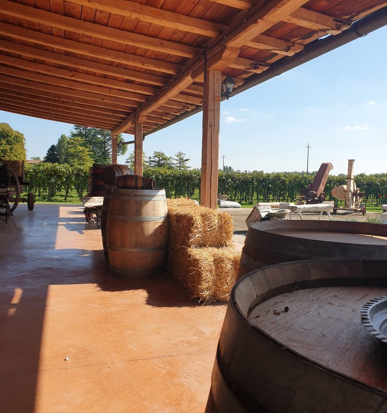 Fioravanti Onesti - Vini dal 1808-San Biagio di Callalta必去景点