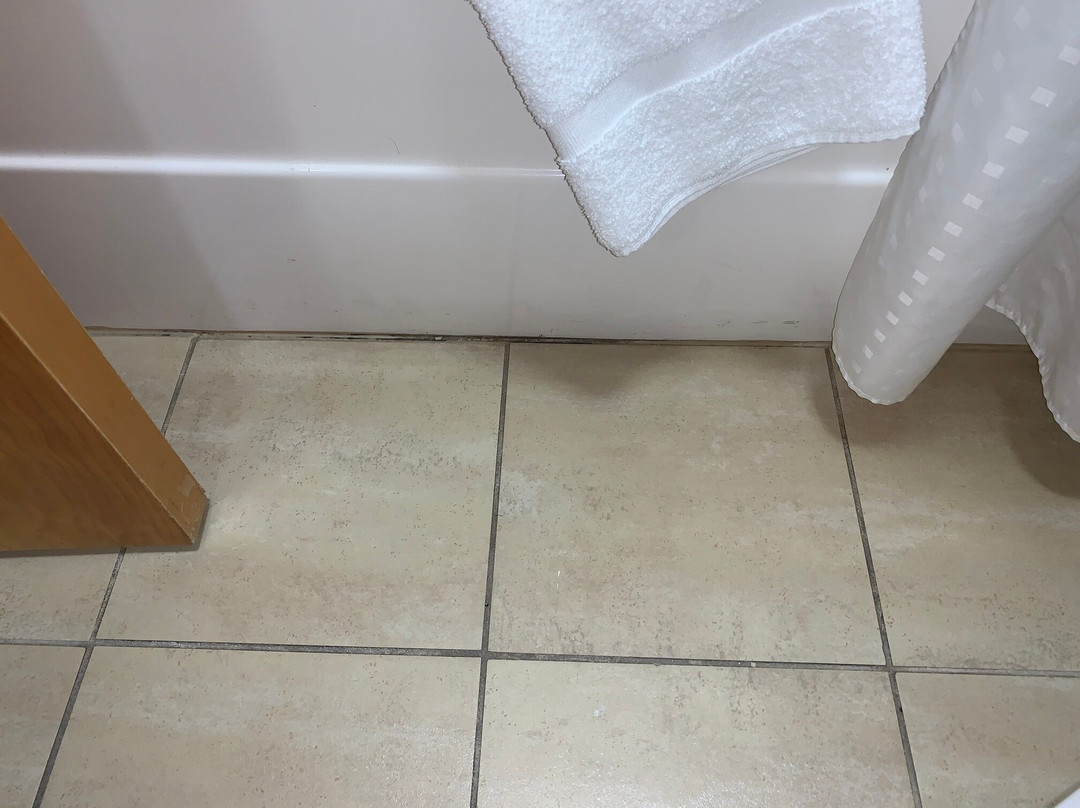 Holiday Inn Express & Suites Vineland Millville by IHG主图