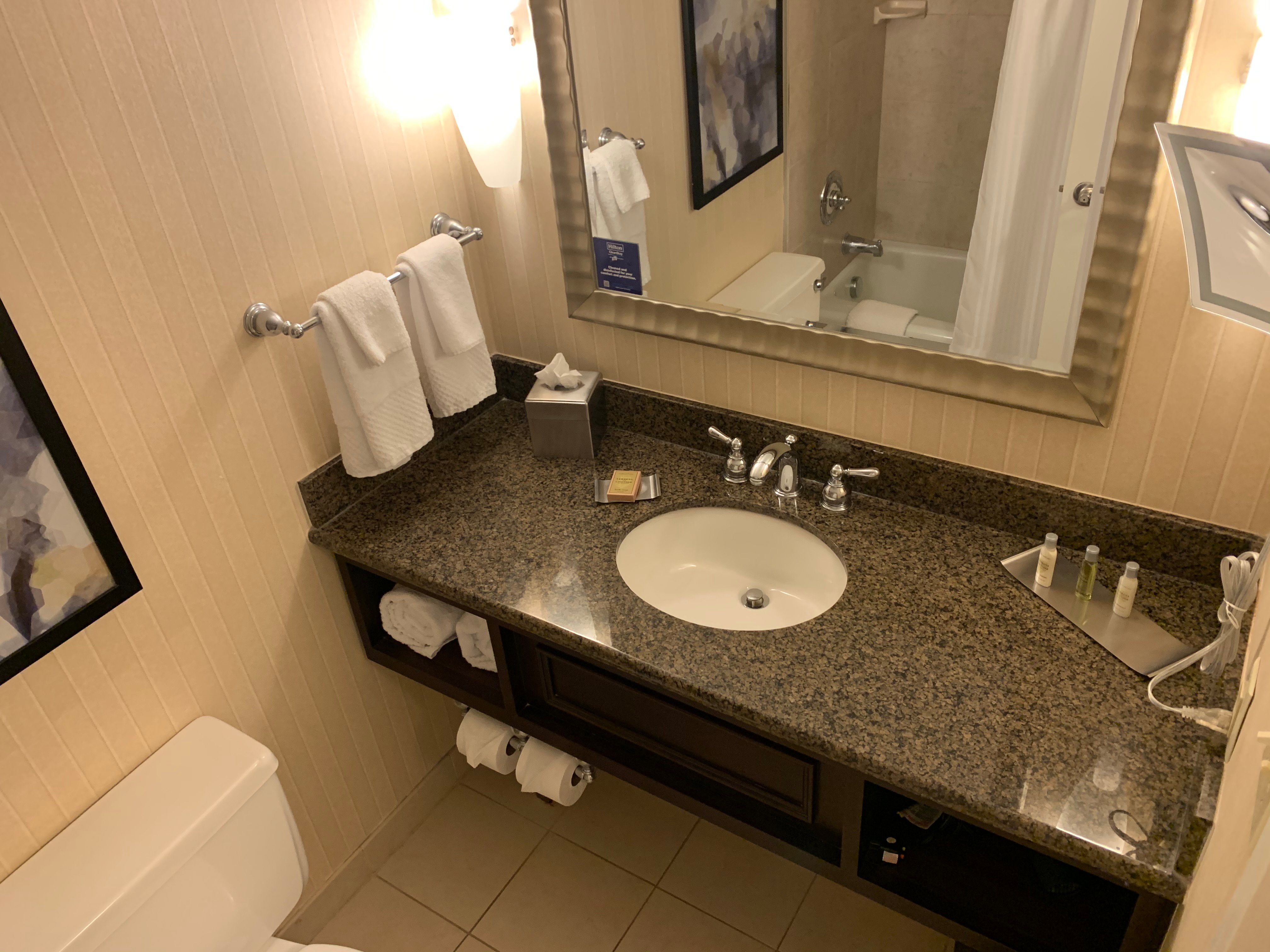 DoubleTree by Hilton Hotel Syracuse-浴室
