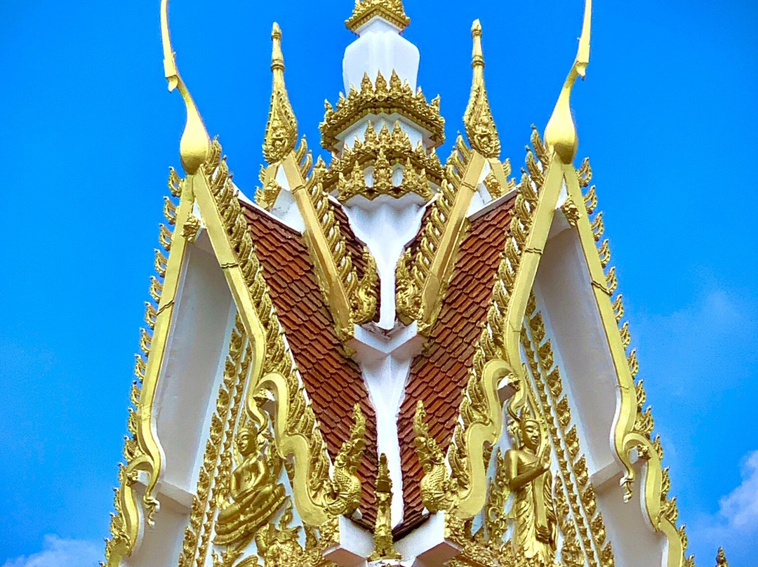 Wat Phra That Nong Bua景点图片