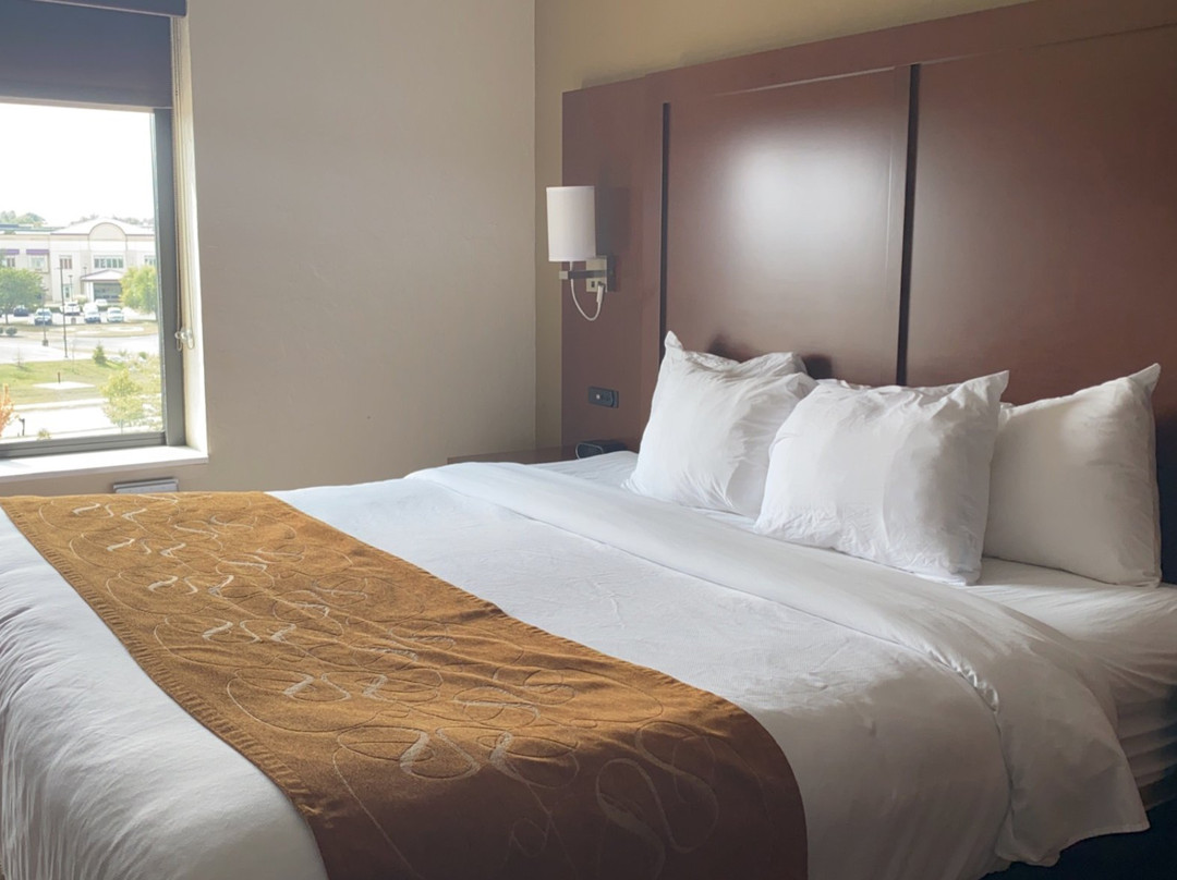 Comfort Suites Florence - Cincinnati South主图