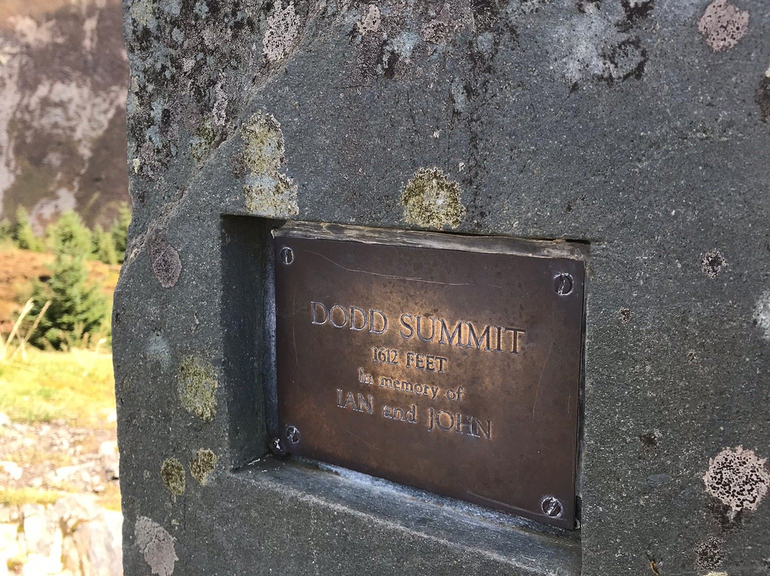 Dodd Wood Ospreywatch景点图片