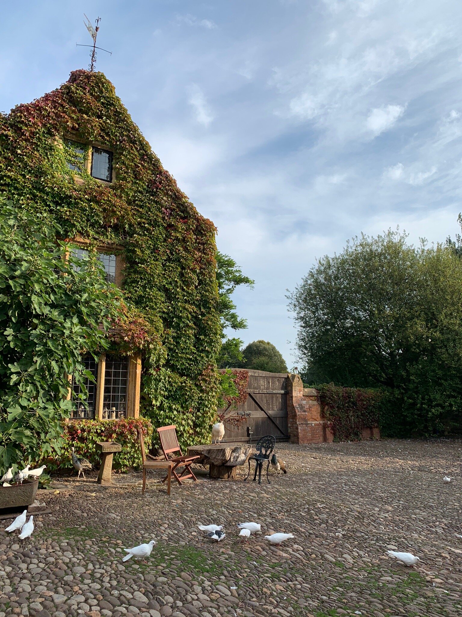 Maunsel House-官方