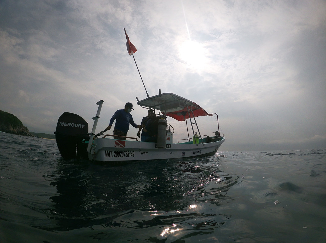 Scuba Diving Anfibios Huatulco景点图片