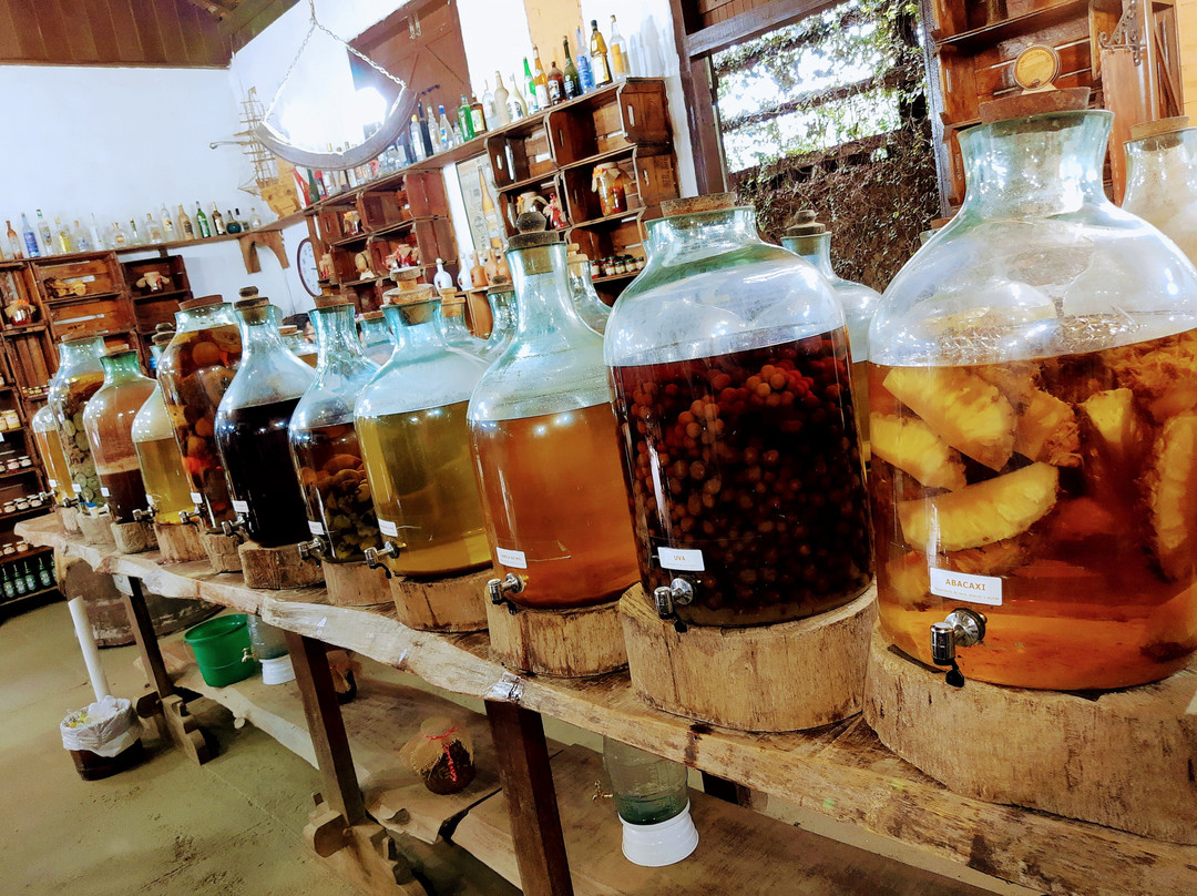 A Bodega-圣安东尼奥杜皮尼亚尔必去景点