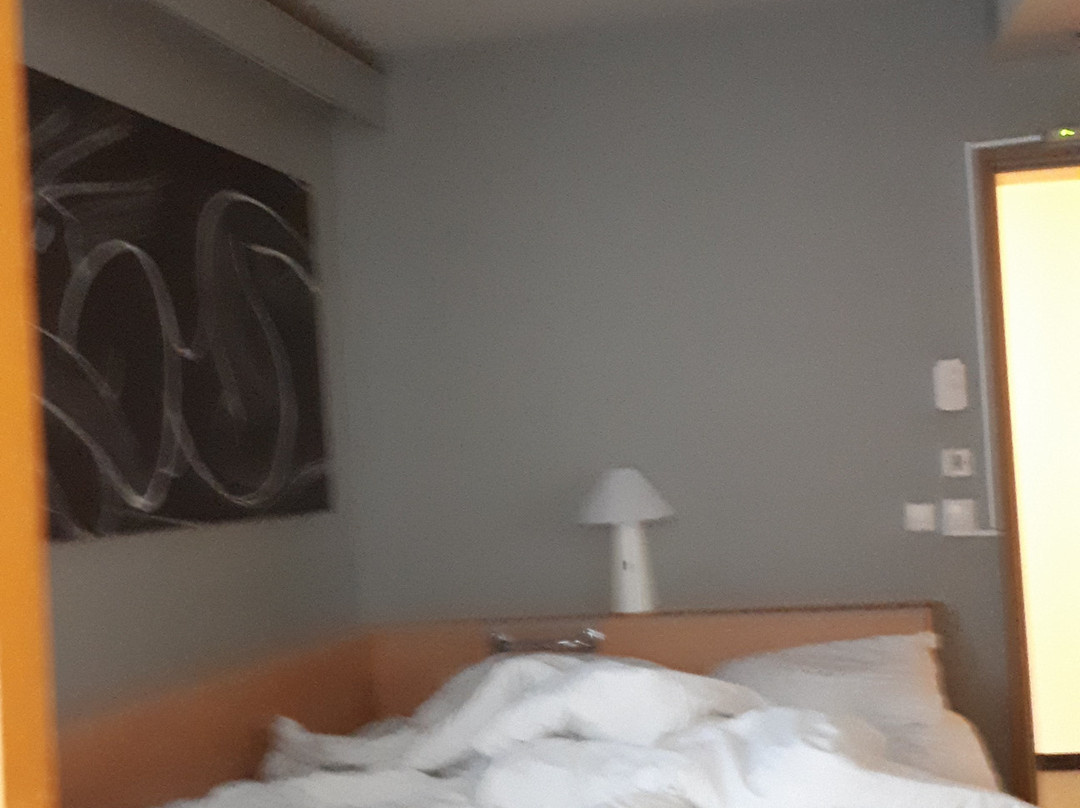 耶拿酒店住宿-Ibis Jena City Hotel