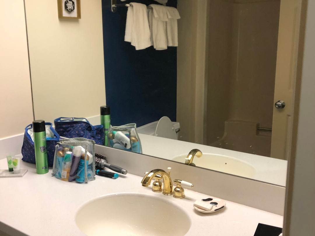 The Lodge At Jackson Village主图