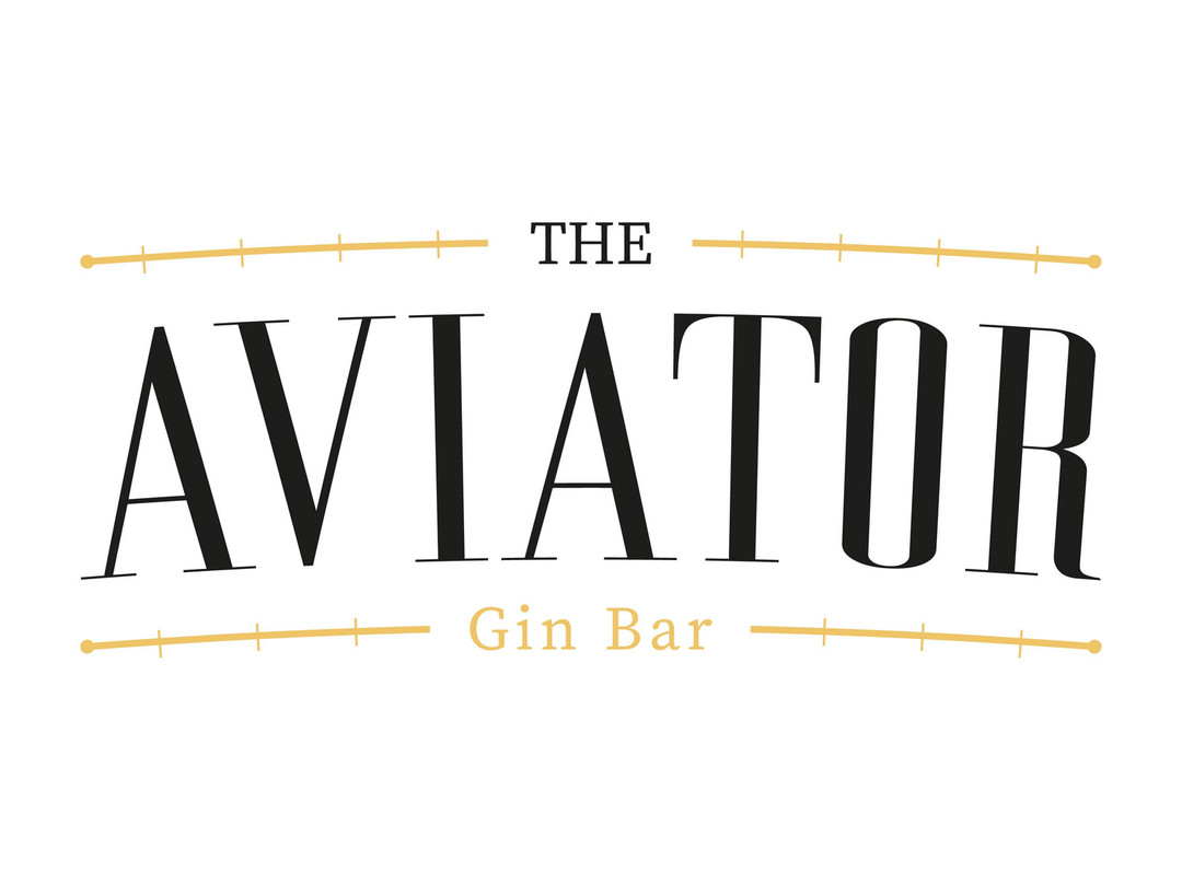 The Aviator Gin Bar-牛顿艾克利夫必去景点
