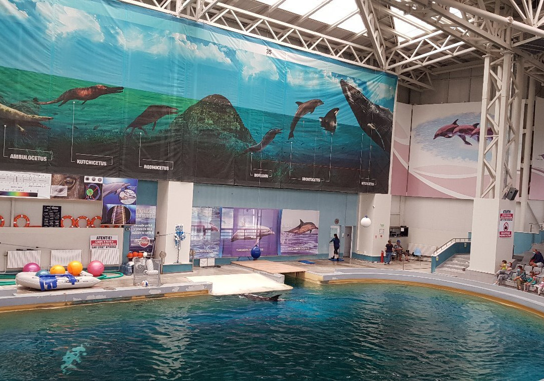 Delfinariu景点图片