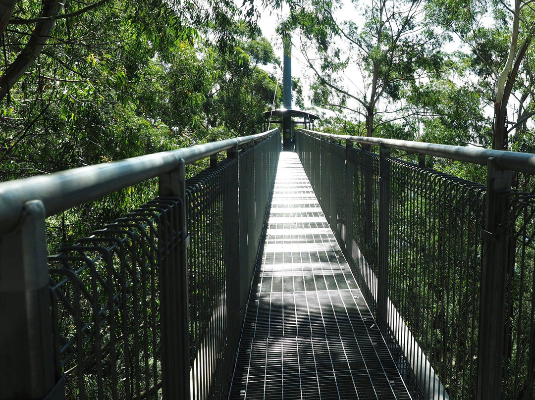 Knights Hill旅游攻略图片