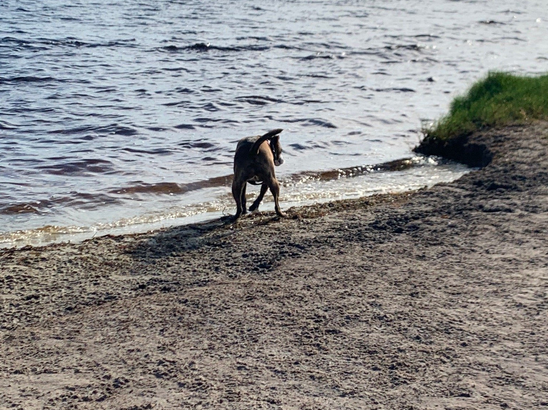 The Dog Park-格尔夫海岸必去景点