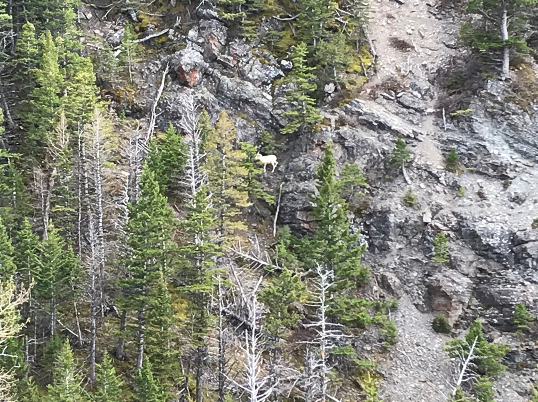 Table Mountain Trail-Beaver Mines必去景点