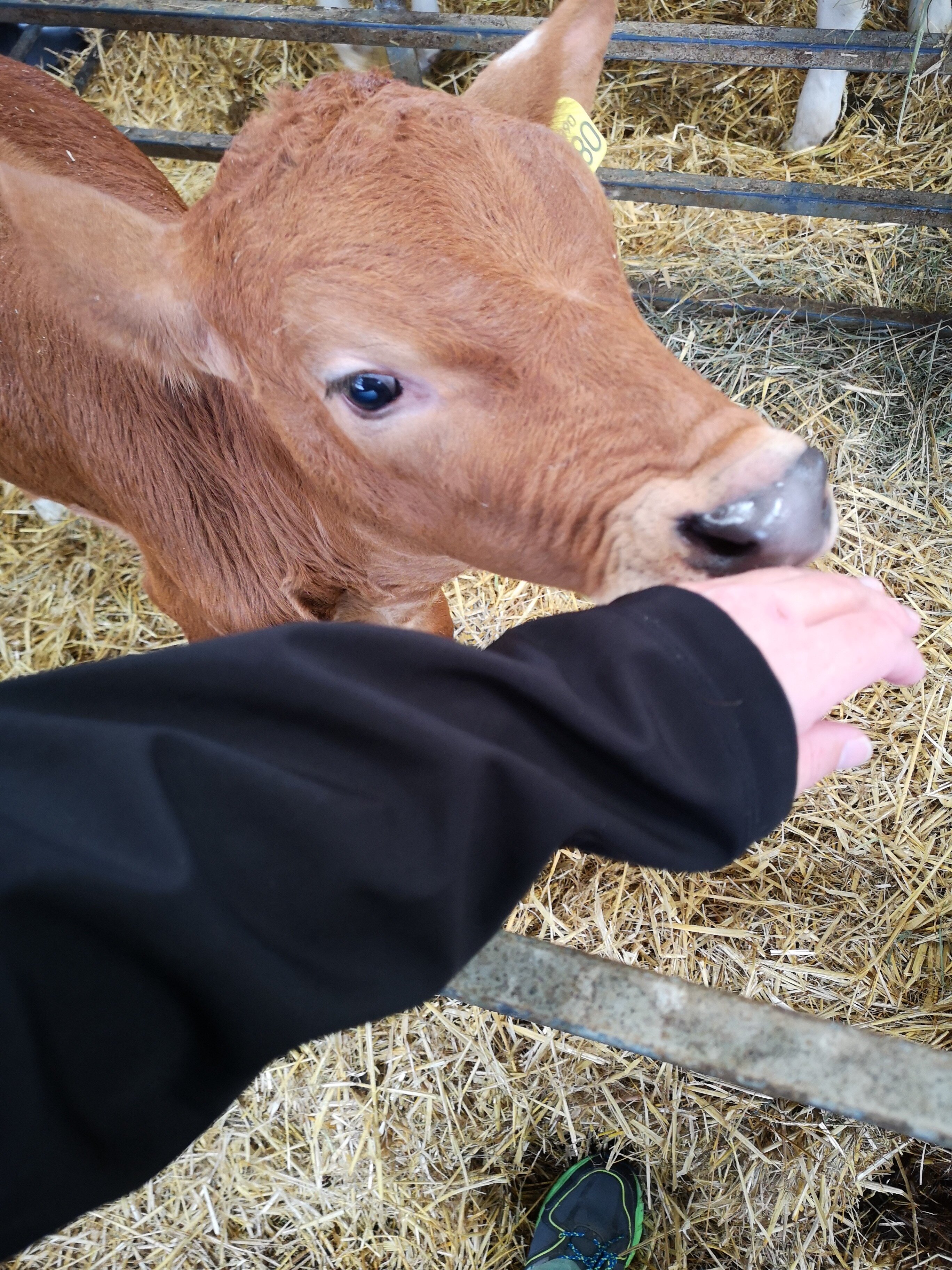 Peak House Farm-官方