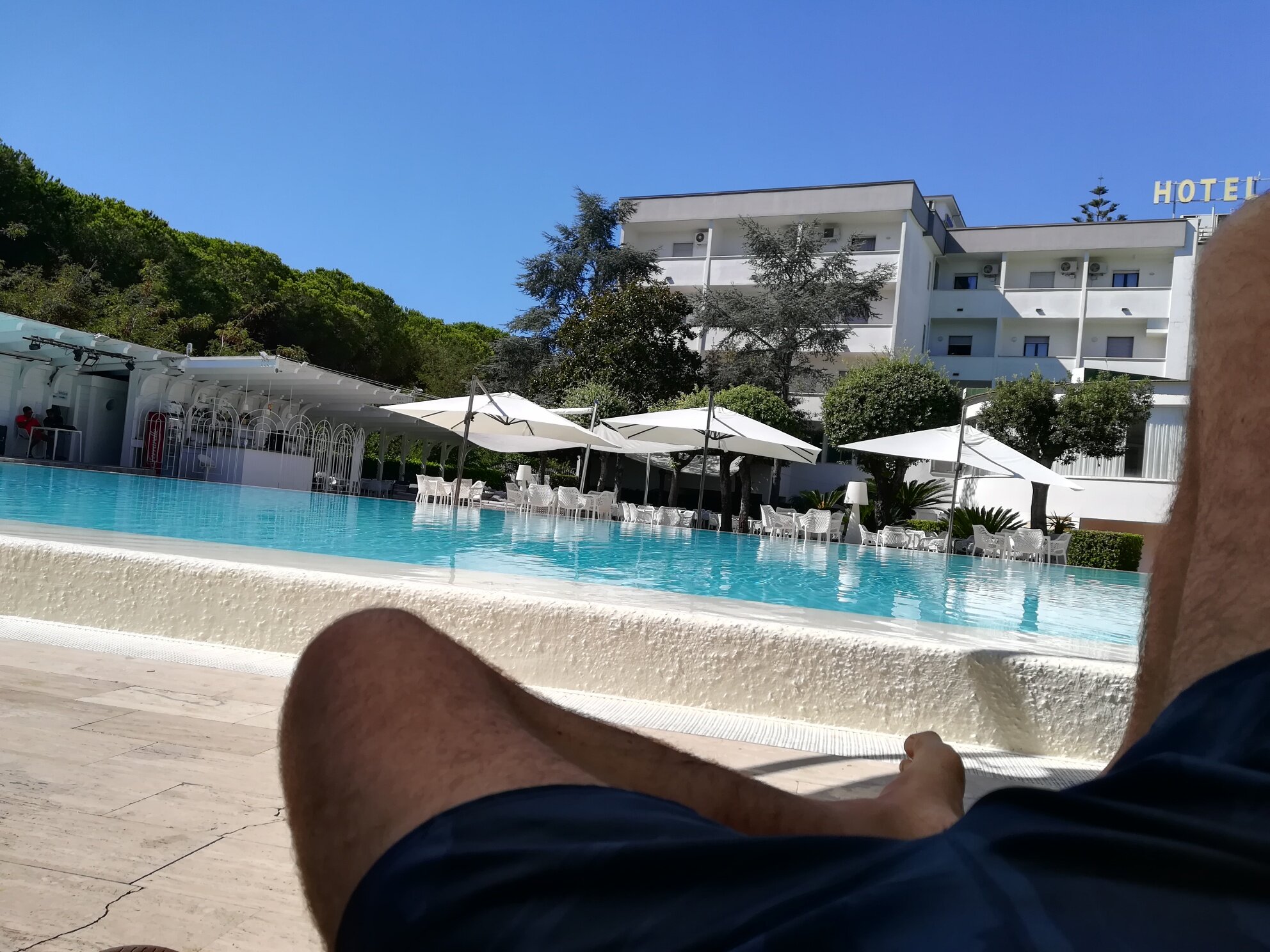 Hotel Le Palme-泳池