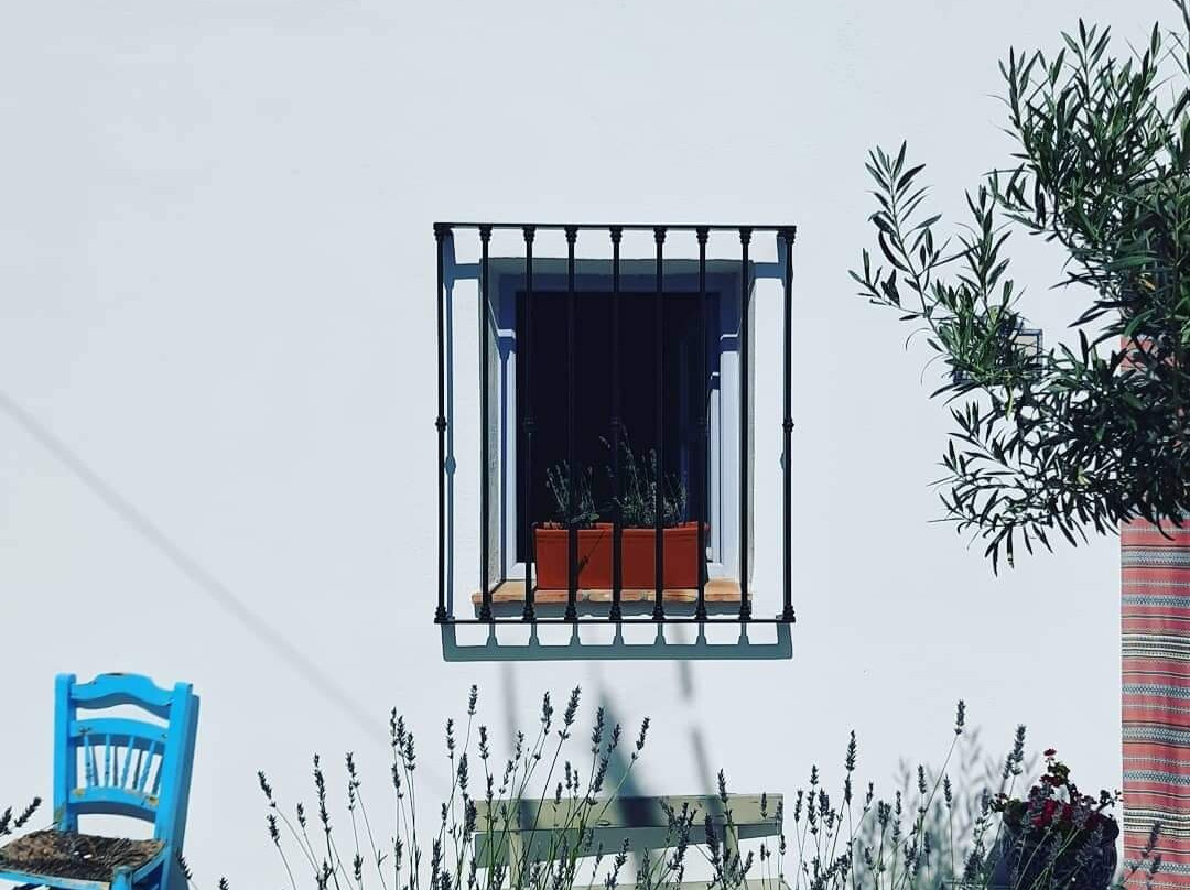 Casa Higueras Bed & Breakfast主图