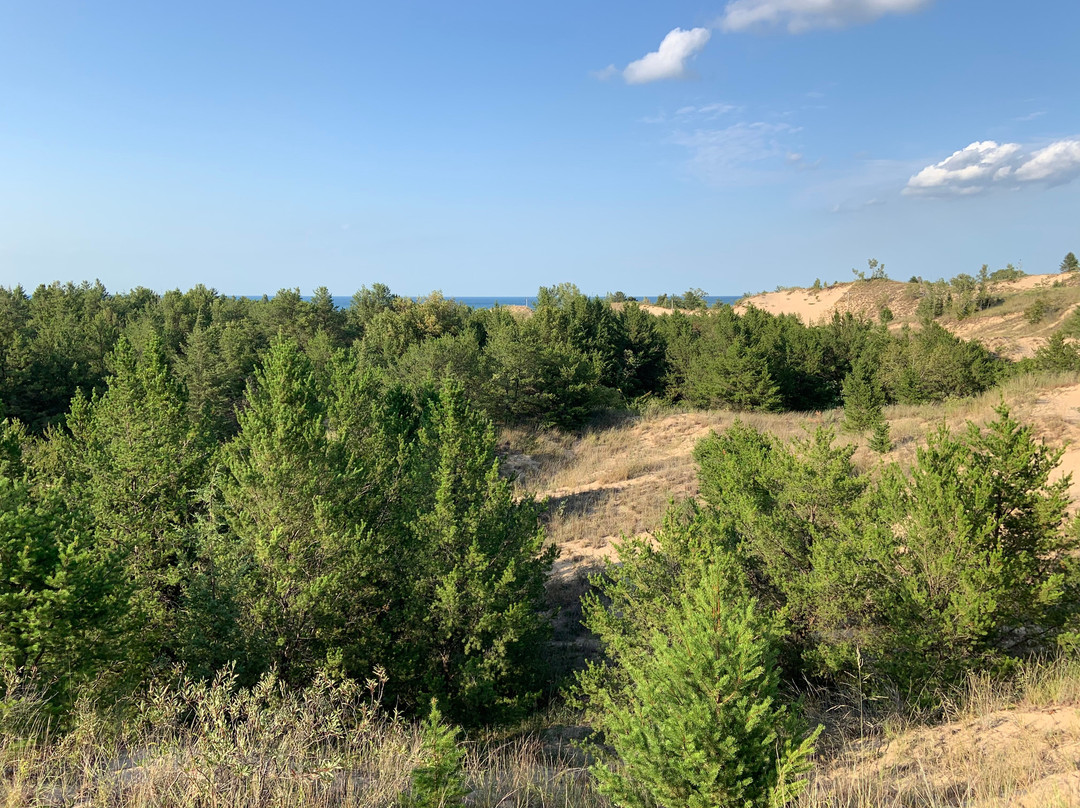 Dune Succession Trail景点图片