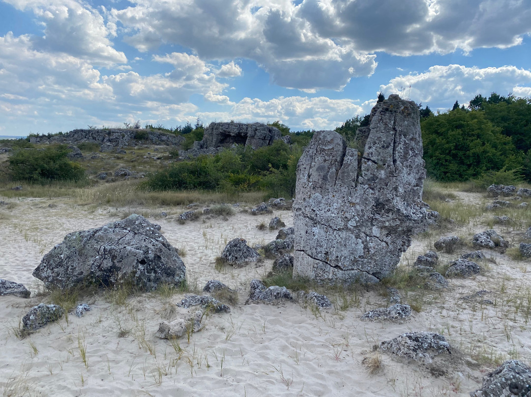 Stone Forest景点图片