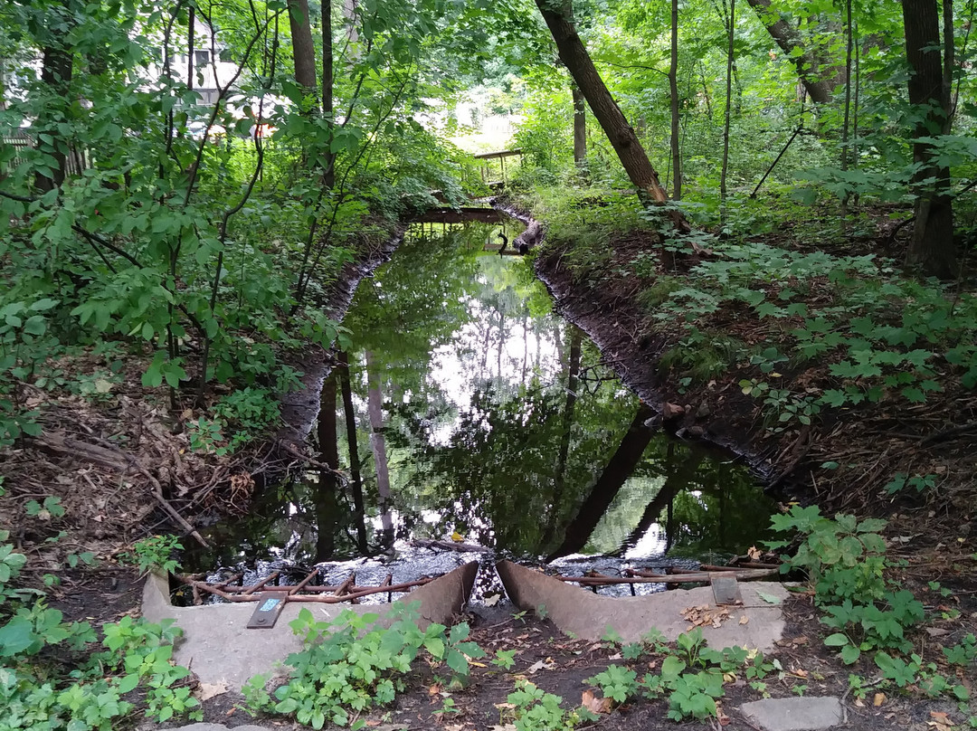 Maple Creek Park-Plymouth必去景点