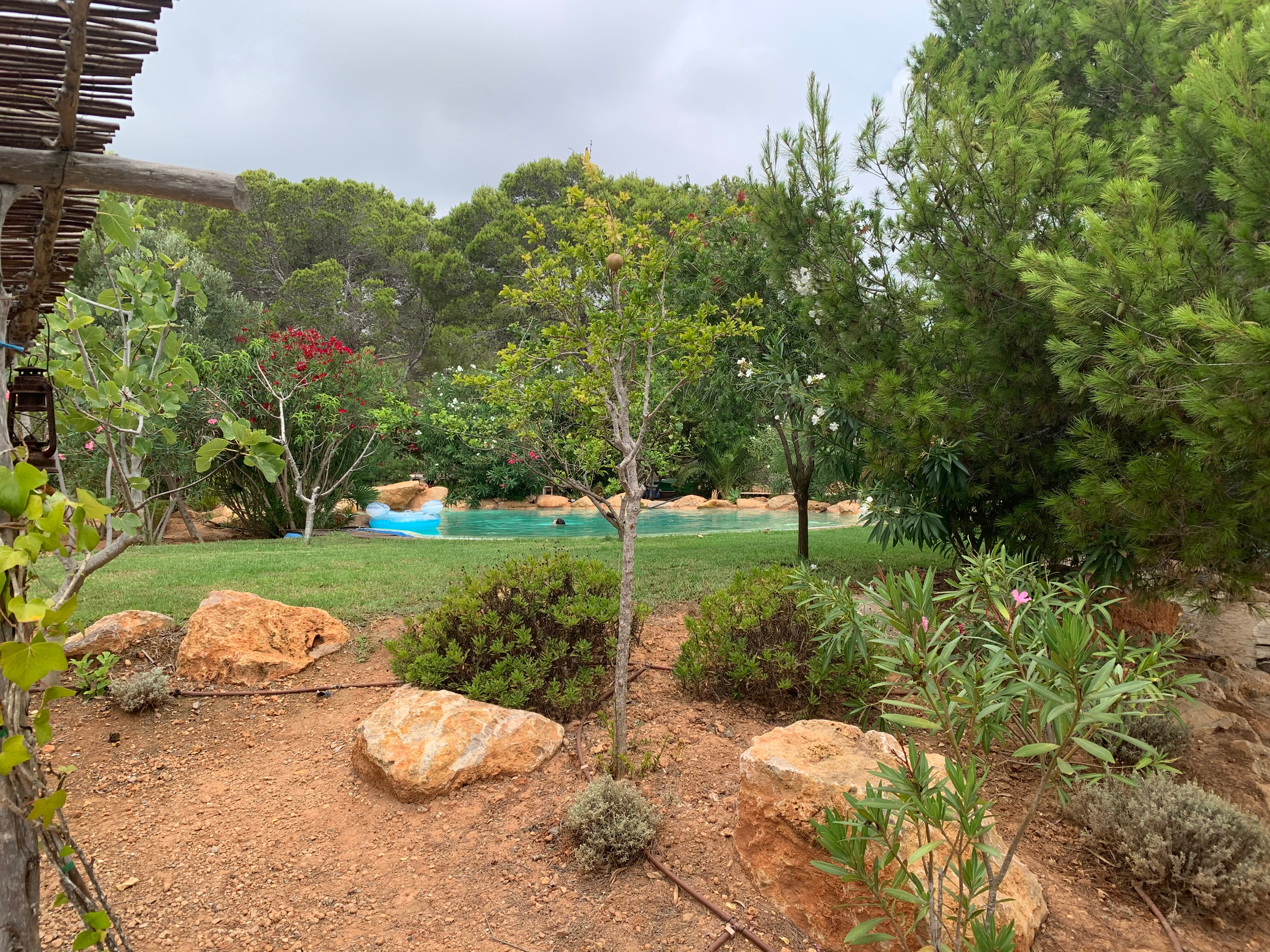 Hostal Cala Boix-泳池