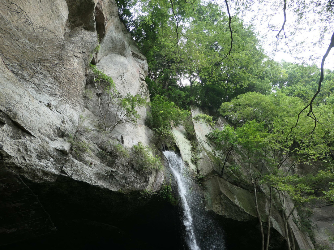 Tanashitafudo Waterfall景点图片