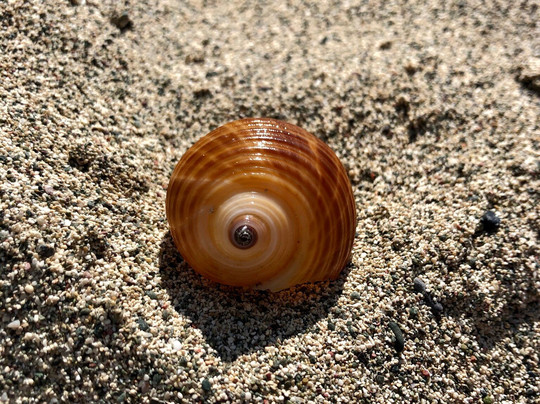 Cretan Daily Cruises-Ierapetra必去景点