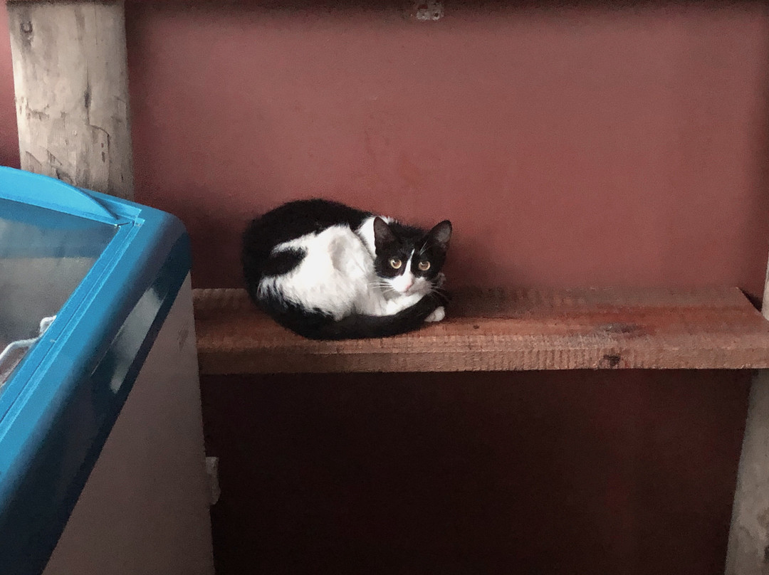 Liv Inn Guest House主图